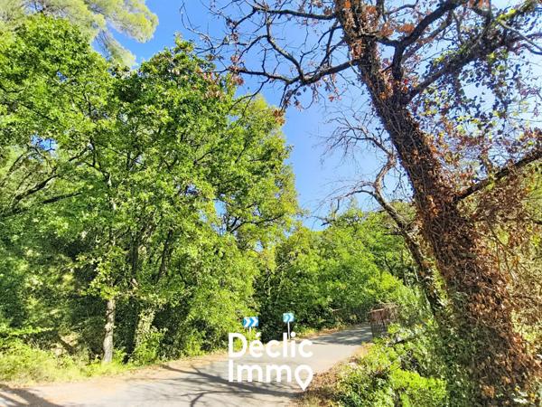 Vente terrain boisé – forêt Tourrettes, 19 900€ Var Paca N°