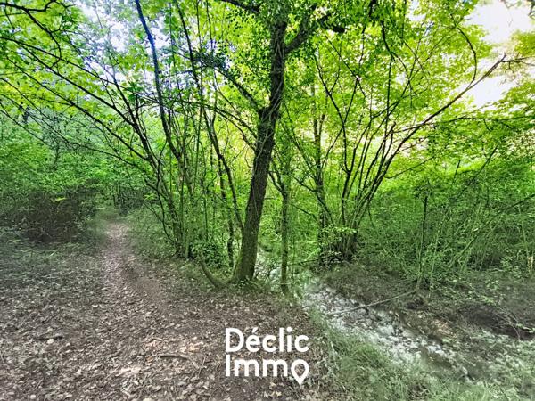 Vente terrain boisé – forêt Tourrettes, 19 900€ Var Paca N°