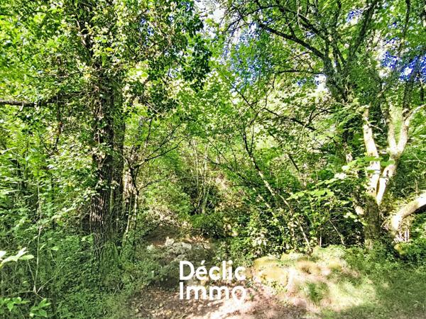 Vente terrain boisé – forêt Tourrettes, 19 900€ Var Paca N°