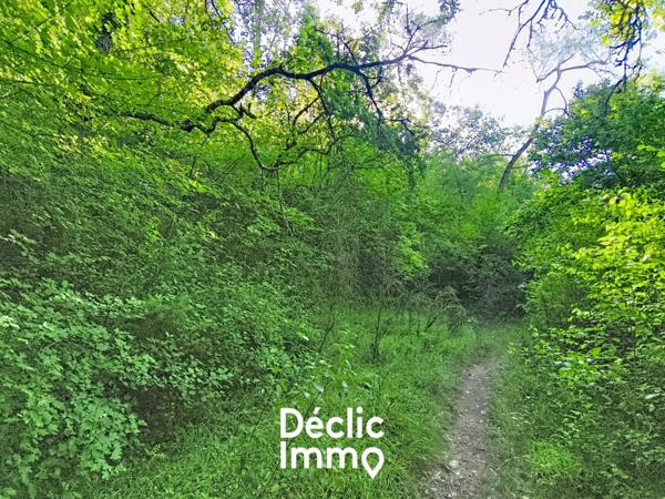 Vente terrain boisé – forêt Tourrettes, 19 900€ Var Paca N°