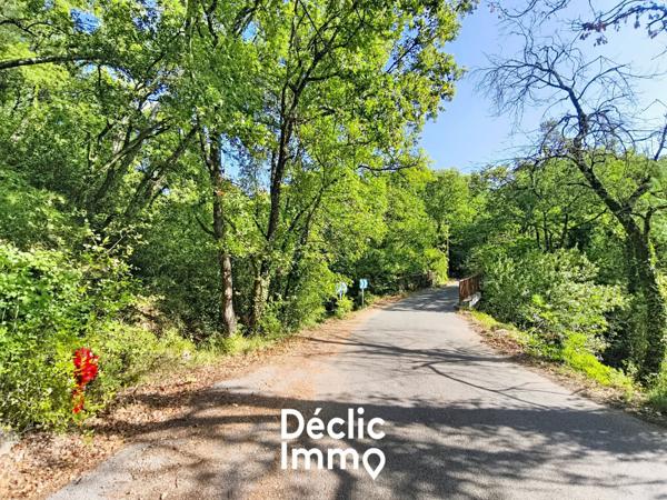 Vente terrain boisé – forêt Tourrettes, 19 900€ Var Paca N°