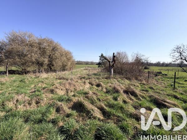 Maison à vendre 4 pièces 140 m² Gomelange