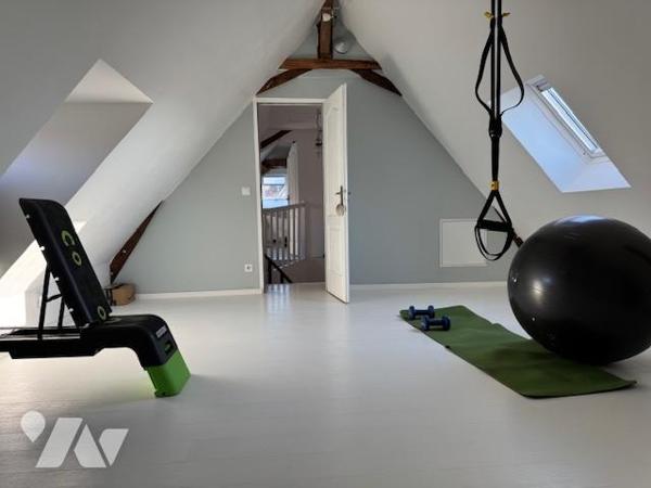 Longère Chouzé sur Loire 