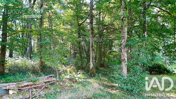 Terrain à vendre 25 394 m² Saints-en-Puisaye