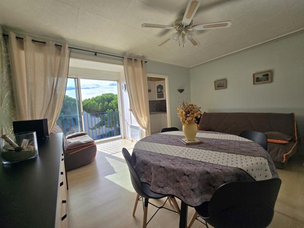 La Grande-Motte (34280) Studio meublé 26m²et rénové avec une place de parking