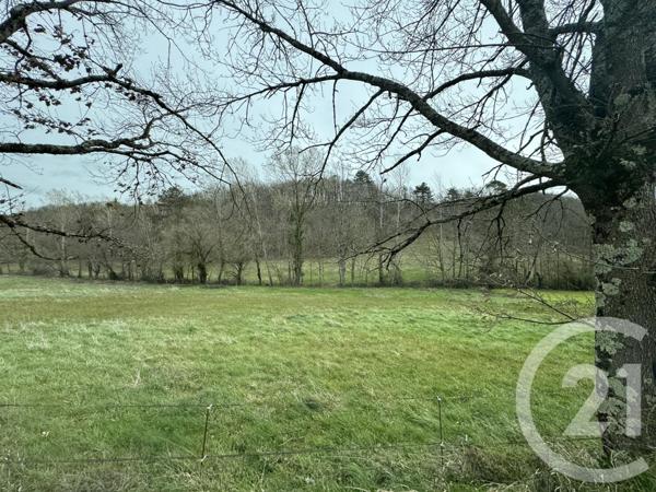 Terrain à vendre  3000 m2 GRAULHET - 81