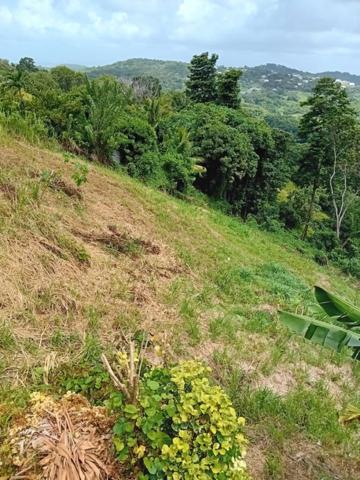 Achat vente Terrain constructible Riviere salee
