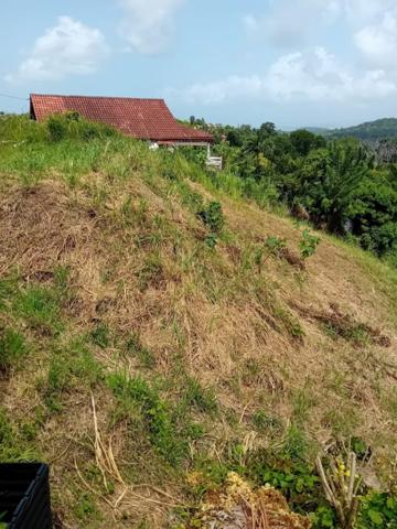 Achat vente Terrain constructible Riviere salee