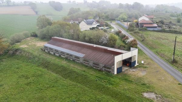 Terrain à vendre 8000m² avec Hangar agricole, proche de MOMAS (64)