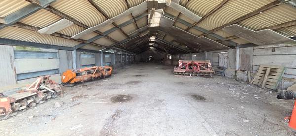 Terrain à vendre 8000m² avec Hangar agricole, proche de MOMAS (64)
