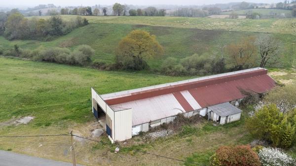 Terrain à vendre 8000m² avec Hangar agricole, proche de MOMAS (64)