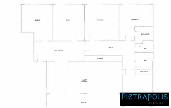 Grand Appartement