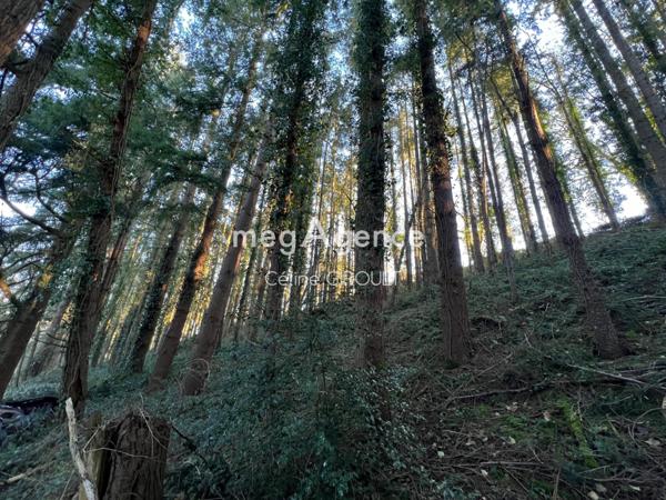 Terrain à TIREPIED SUR SEE, 50870 - 8615m²