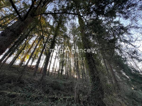 Terrain à TIREPIED SUR SEE, 50870 - 8615m²