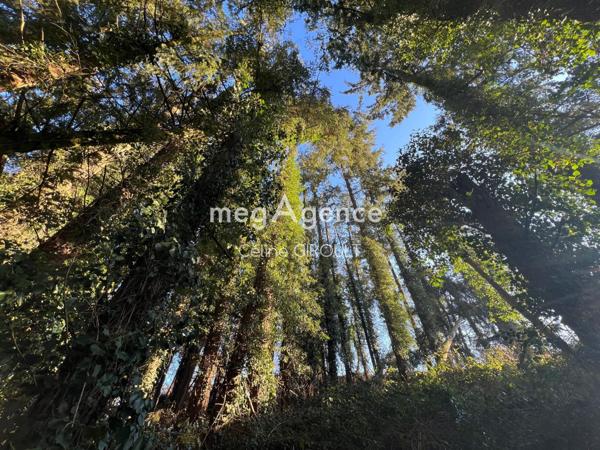 Terrain à TIREPIED SUR SEE, 50870 - 8615m²