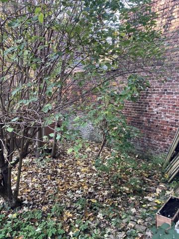 Fonds et/ou murs commerciaux à louer à Lille dans le Nord (59800), ref : 59007-L85   
Fives