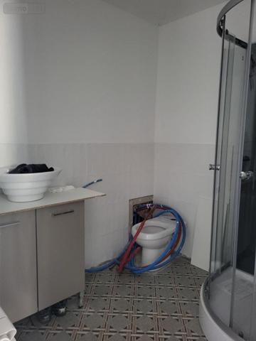 Immeuble à vendre à Le Ribay en Mayenne (53640), ref : 53078-1824