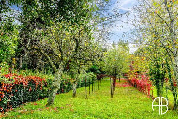 Haute ville Maison Bourgeoise avec dépendances et jardin