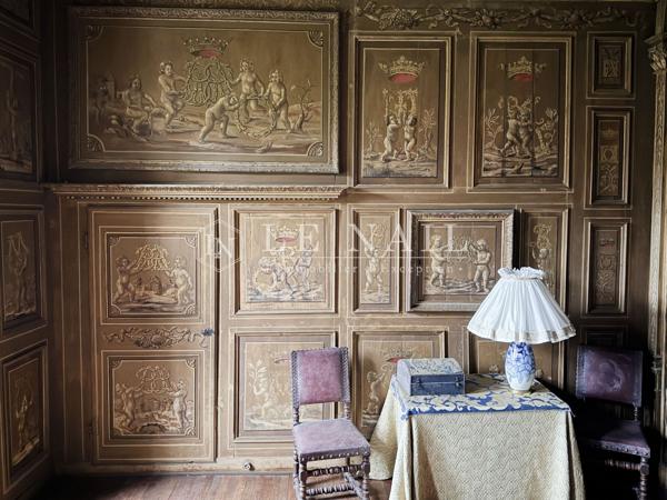 Exceptionnel château Renaissance classé Monument Historique et 33 ha en Anjou