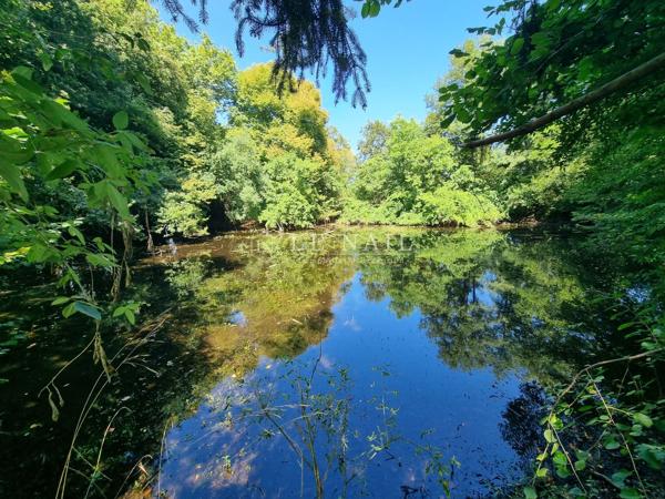 Majestueux Château Néo-classique du XIXe siècle et son parc de 6 hectares