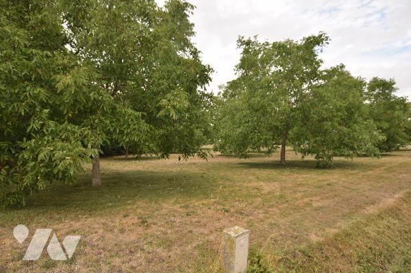Terrain à construire de 5299m²
