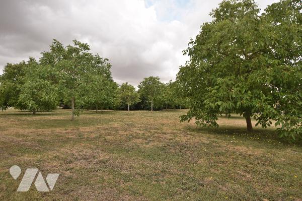 Terrain à construire de 5299m²