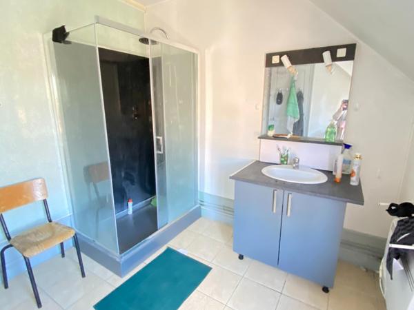 Entrepôt professionnel 800 m2 + maison habitation