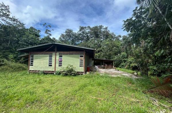 Villa Bois T4 et dépendance sur 4970m2