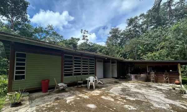 Villa Bois T4 et dépendance sur 4970m2