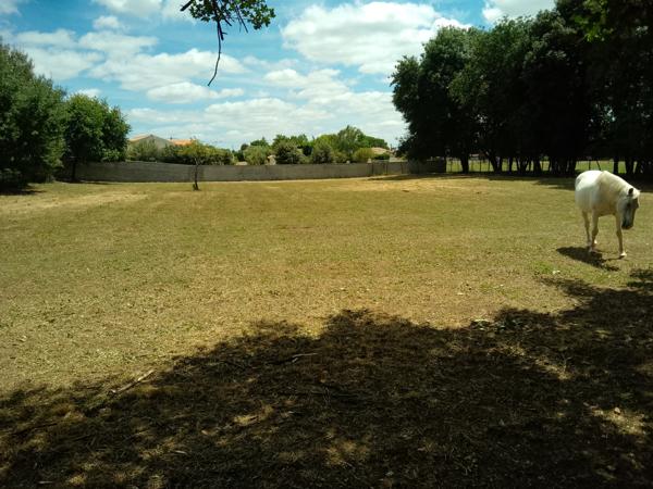 Terrain
        
        - 4710 m² Exclusivité 362 000 € *