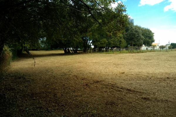 Terrain
        
        - 4710 m² Exclusivité 362 000 € *