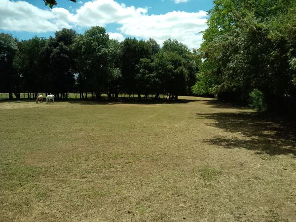Terrain
        
        - 4710 m² Exclusivité 362 000 € *