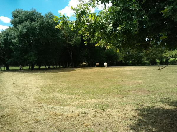 Terrain
        
        - 4710 m² Exclusivité 362 000 € *