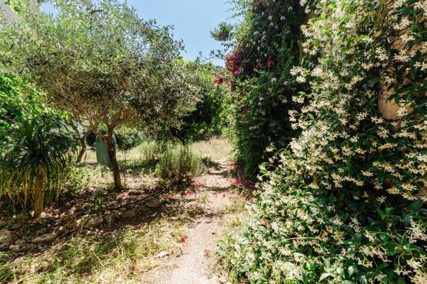 Vente Maison de luxe Argelès-sur-Mer 7 Pièces 210 m²