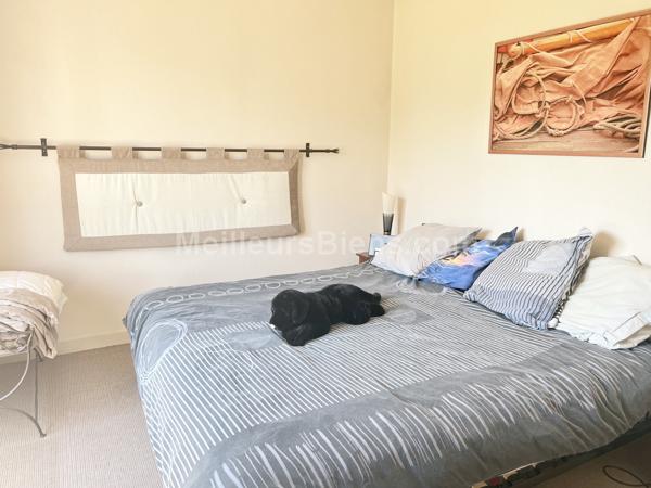 Maison 152 m2, confort de plain-pied, 3/4 chambres, terrain 984 m2,  cave, garage et dépendance.