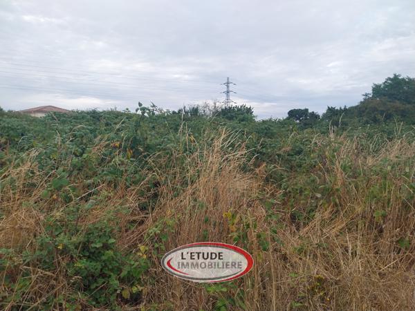 Sainte Pazanne : coeur de bourg, proche toutes commodités, terrain 474 m², viabilisé !