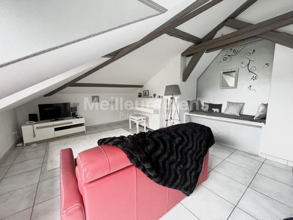 Saint dié , appartement dans maison de maître loué