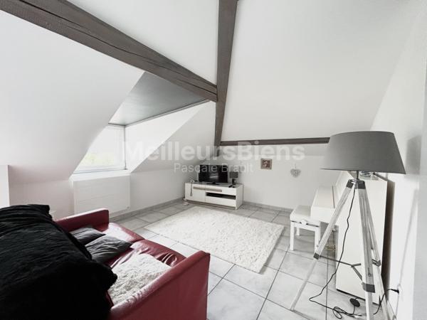 Saint dié , appartement dans maison de maître loué