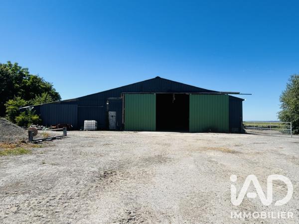 Maison (prestige) à vendre 12 pièces 253,29 m² Courtils