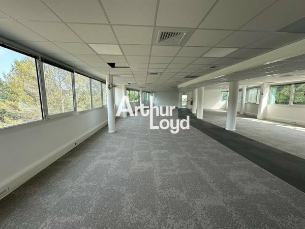 Bureaux cloisonnés et climatisés à louer à Sophia Antipolis avec parkings et terrasses