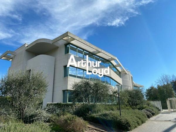 Bureaux cloisonnés et climatisés à louer à Sophia Antipolis avec parkings et terrasses