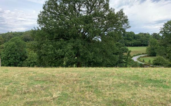 Terrain à vendre    Boisseuil