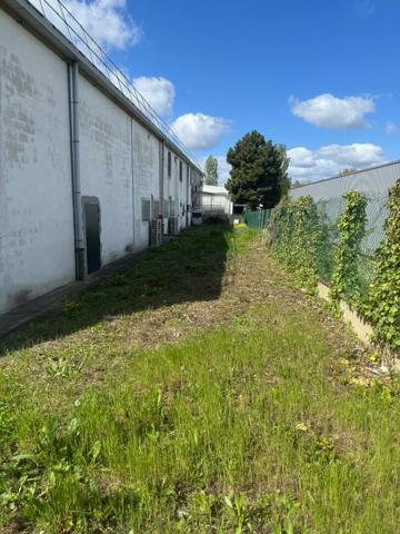 Local commercial VERRIERES LE BUISSON 1415.50 m²