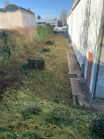 Local commercial VERRIERES LE BUISSON 1415.50 m²