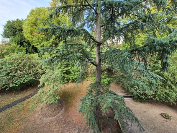 Appartement Le Pecq 1 pièce(s) 23 m2 168 000 € **  - Référence  18797