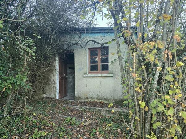 Magnifique potentiel avec vue dominante - Maison familiale à rénover dans un hameau paisible Riberac