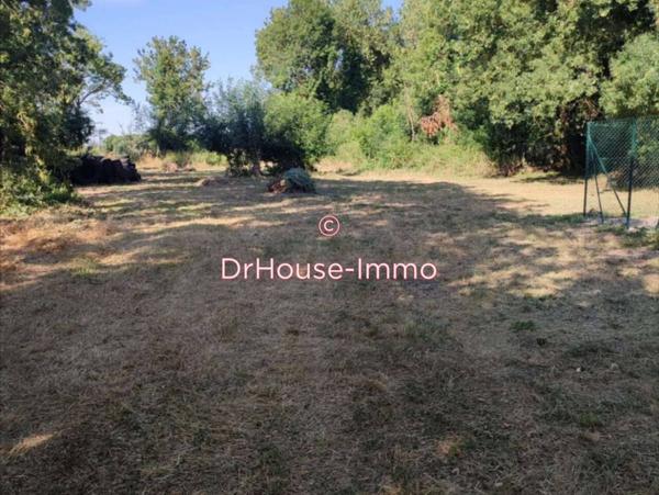 Terrain à vendre de 2 255 m²