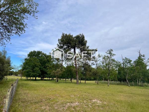 Foncier aux portes de Bordeaux – 4 404 m² – Environnement préservé