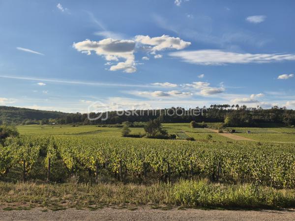 **Maison jumelée avec vue imprenable sur les vignes – 92 m² habitables**

Située dans un environnement calme et agréable, cette charmante maison jumelée de 92 m² sur sous-sol complet vous séduira par sa belle vue dégagée sur les vignes et son cadre de vie paisible.

Au rez-de-chaussée, vous découvrirez une cuisine ouverte sur un salon-séjour lumineux, créant un espace convivial et chaleureux, ainsi qu’un WC indépendant.

À l’étage, la maison dispose de deux chambres, d’un bureau idéal pour le télétravail, ainsi qu’une salle de bain avec WC.

Les combles aménagés offrent une grande chambre supplémentaire pleine de charme.

À l’extérieur, vous profiterez d’un petit terrain arboré et entièrement clôturé avec terrasse, parfait pour les beaux jours.

Prestations :

* Fenêtres PVC double vitrage
* Chauffage fioul
* Cheminée
* Sous-sol complet offrant de nombreux espaces de rangement et un garage.

Maison idéale pour une famille ou un premier achat, à découvrir sans tarder !

Pour plus d’informations ou organiser une visite, contactez-moi.