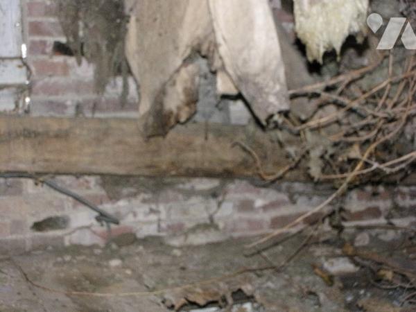 A CHAILLOUE - Maison à rénover (50m² environ)